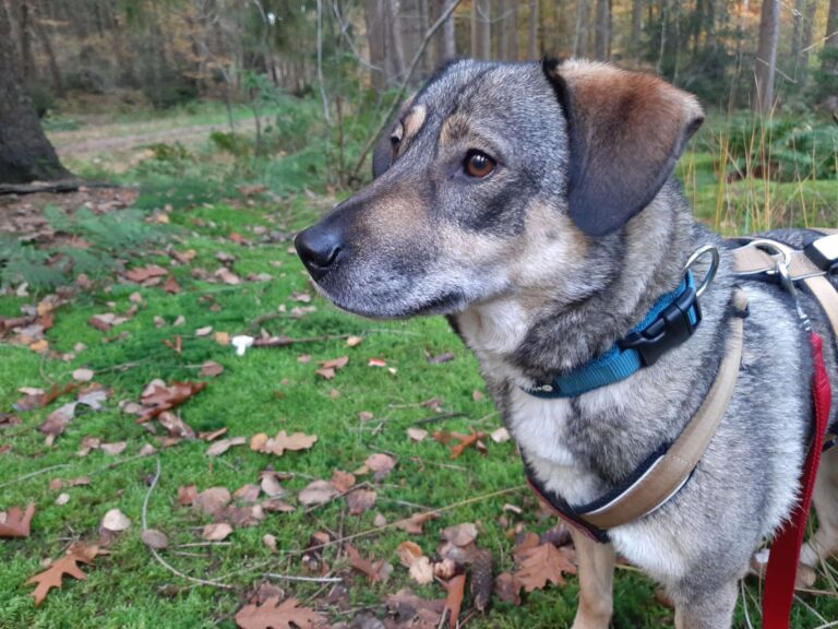 027a2360-5c07-4e74-869a-51ecf8ad3a46