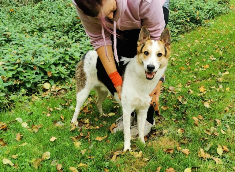 0c9f43e3-4c04-4959-9be0-42fe12b69361