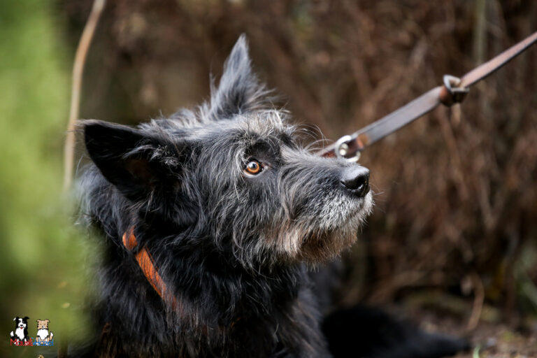 20Jan26Mariechen09 (1 von 1)