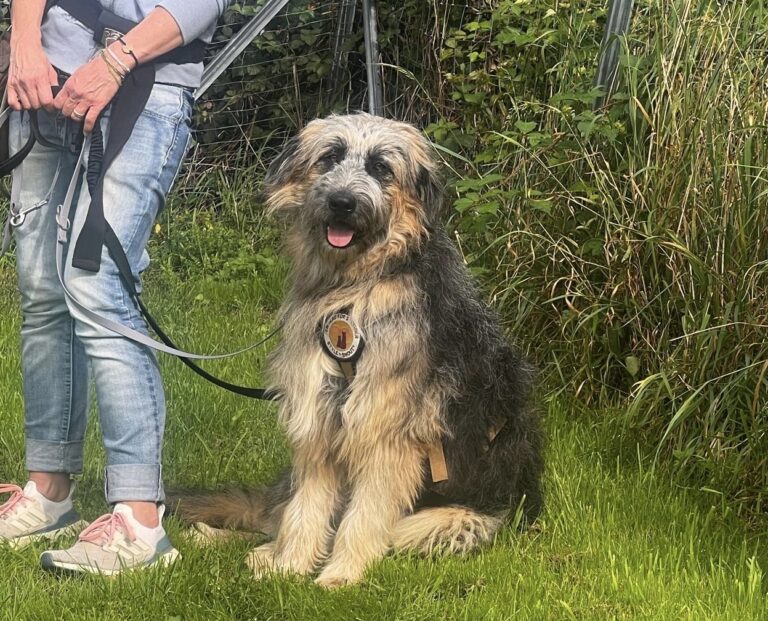 3bbceef6-257e-4d88-b9ff-2ffe04510ebc