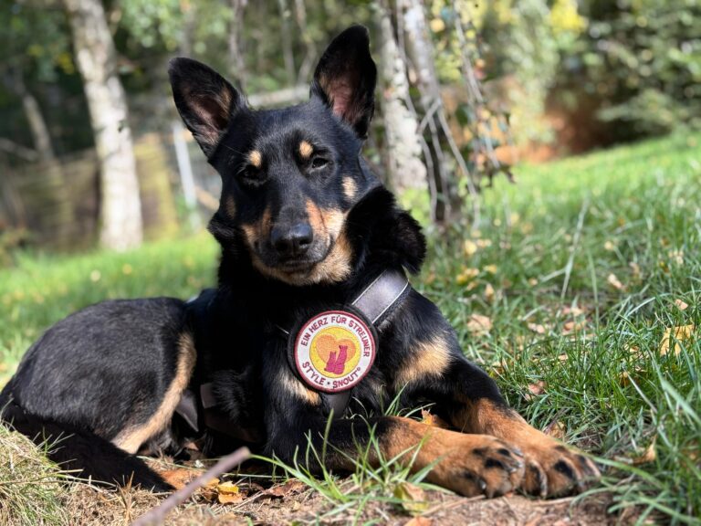 42ae5fdc-1b1c-4e89-9ef2-e4ea59199b99