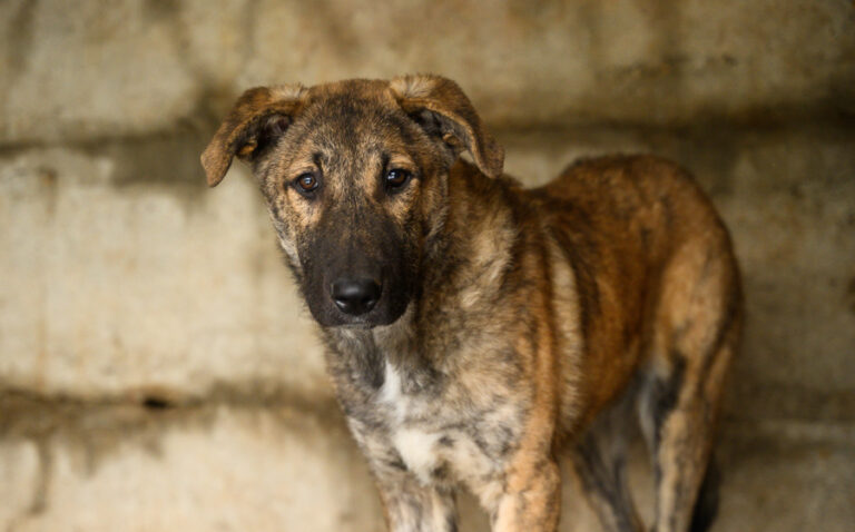 4F8767B9-B1A9-4EBF-8D55-5667DE2B1B25