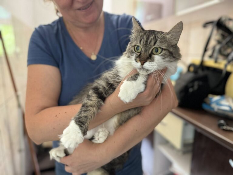 526748683_1095049559251193_7524204191710619536_n