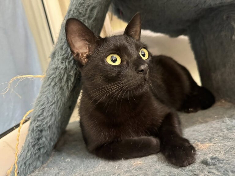 527127428_1093498756072940_189975227789846498_n