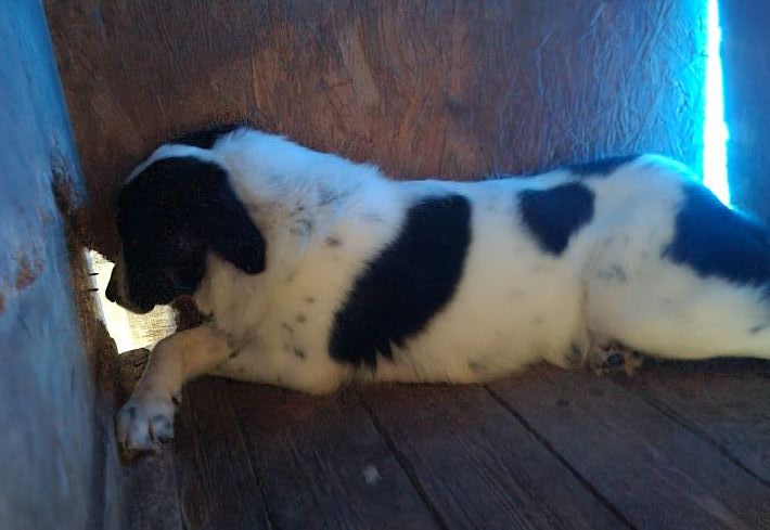 532184856_24215290108123394_6892783083823701825_n