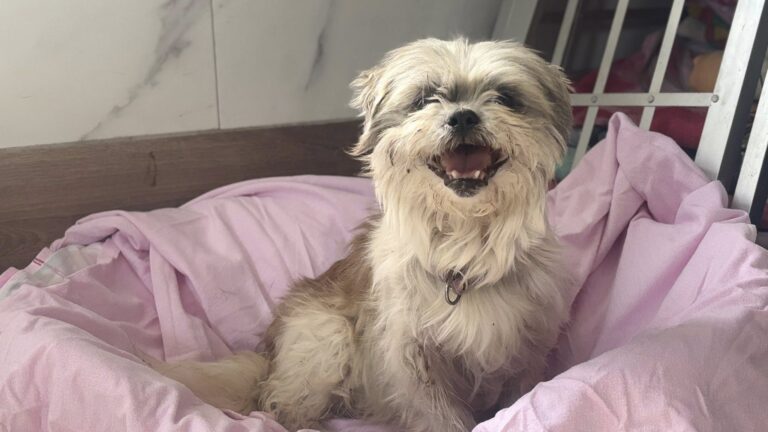 533976392_24725994150331861_3481534026088744835_n