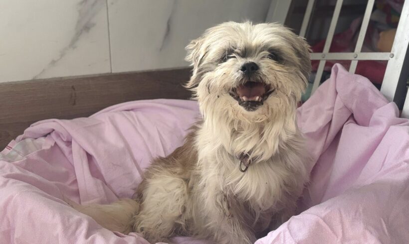 NEVES – reserviert NEVES – reserviert