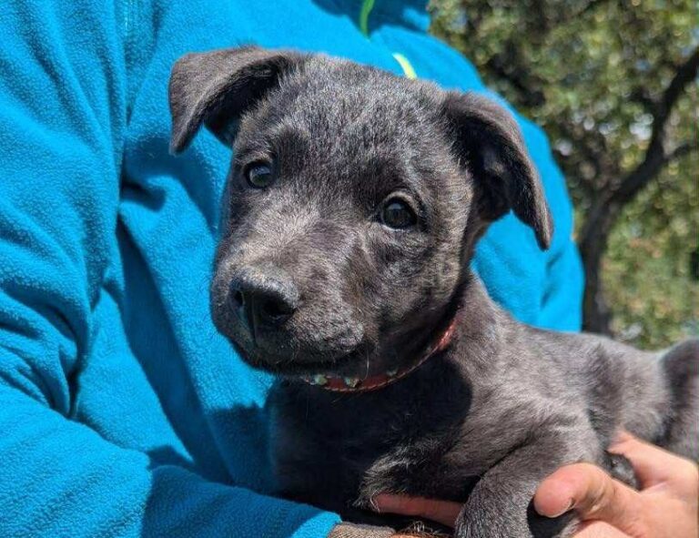 539171998_24840629875534954_2704851206280946427_n