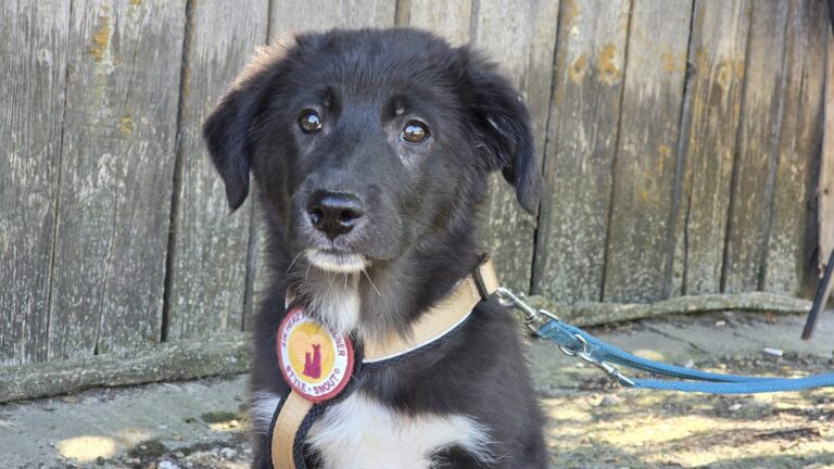 539383547_3233538363475117_2562949785692581227_n