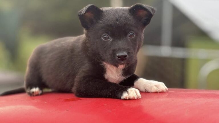 540362974_24904484479149493_4875587378679779597_n