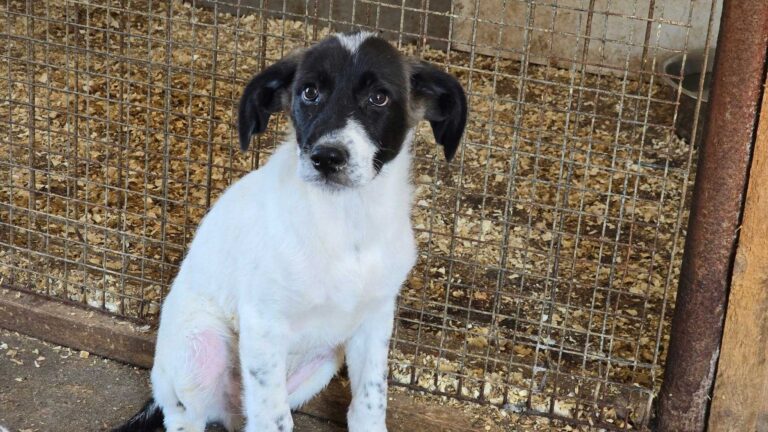 540738137_3233535720142048_7278882214774857890_n