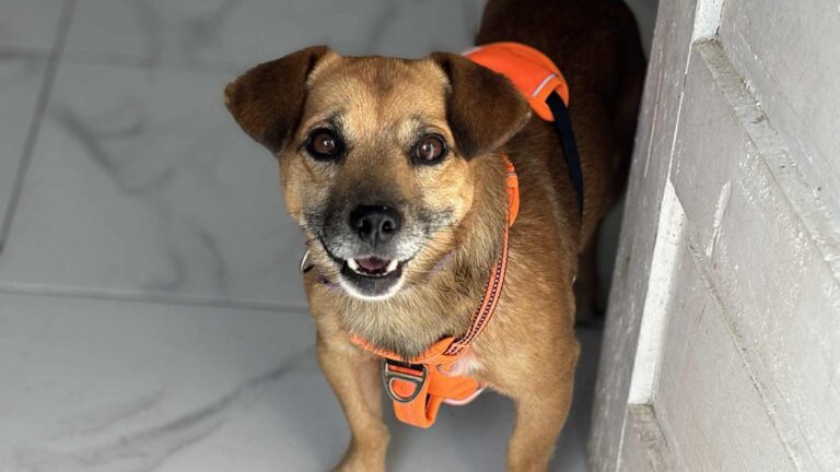 541130241_24839755755622366_712544471042201257_n