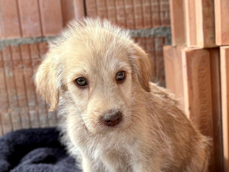 541437135_3191624654336039_8010191960281299333_n