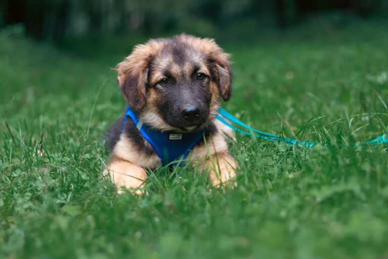 541786063_3093179630860152_7841245862913972335_n