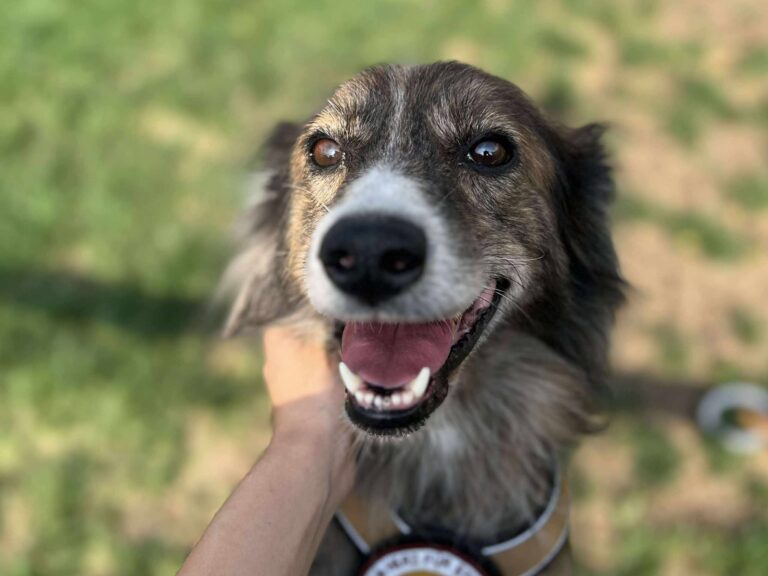 541793218_804096302014827_4426325782709218707_n