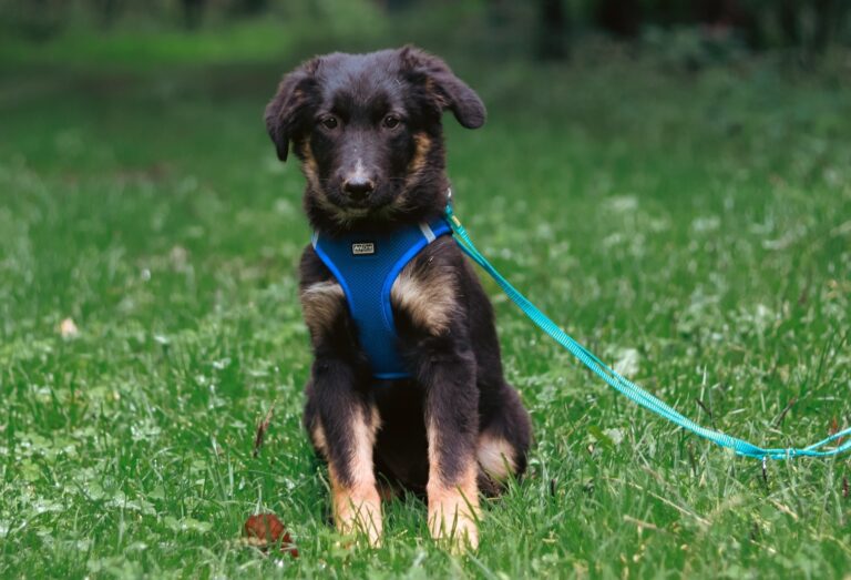 541849527_3092930050885110_6716575974410824725_n