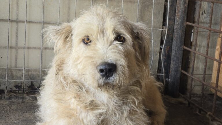 542497223_3243994639096156_3173929728321296677_n