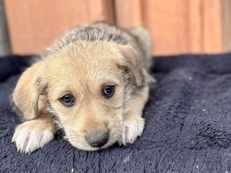 542593240_3191645601000611_6043185538243092672_n