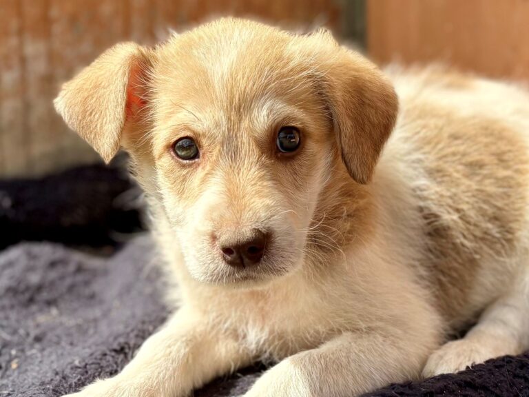 542687452_3191636371001534_4551103951336059564_n