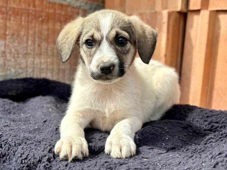 542705394_3191642124334292_6735295571145624911_n