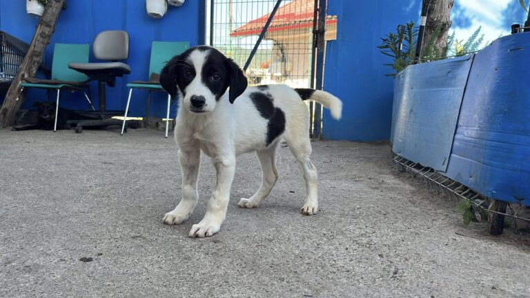 542750962_24782035308066800_8540983247068259427_n