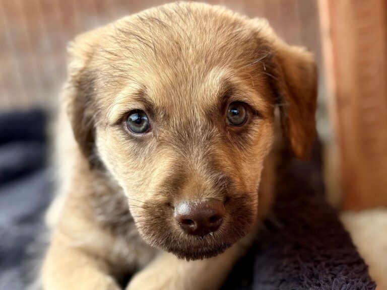 542760638_3191649984333506_8033699294595802473_n