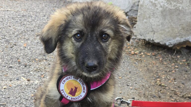 543104926_3243395739156046_4398970015010249435_n (1)