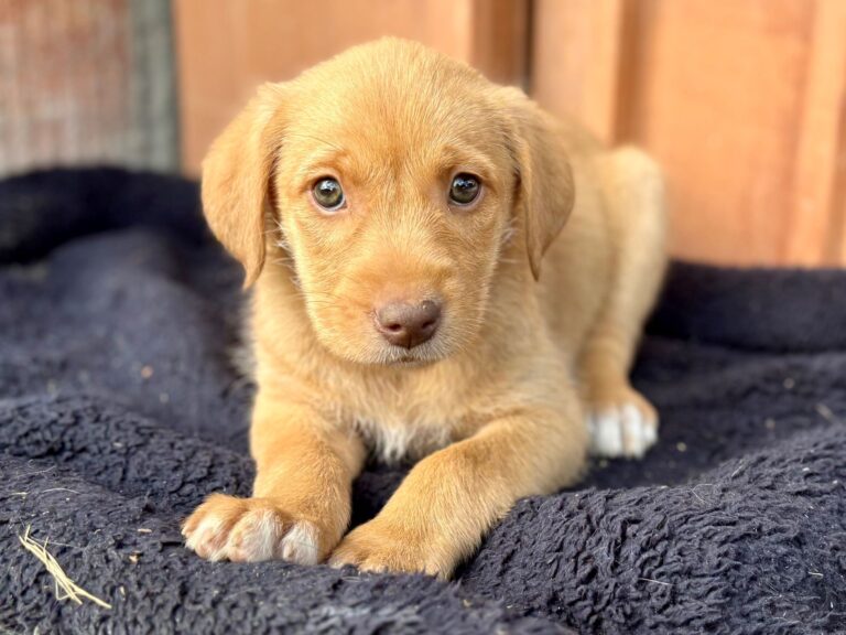 543105426_3191632387668599_2230918631572541970_n