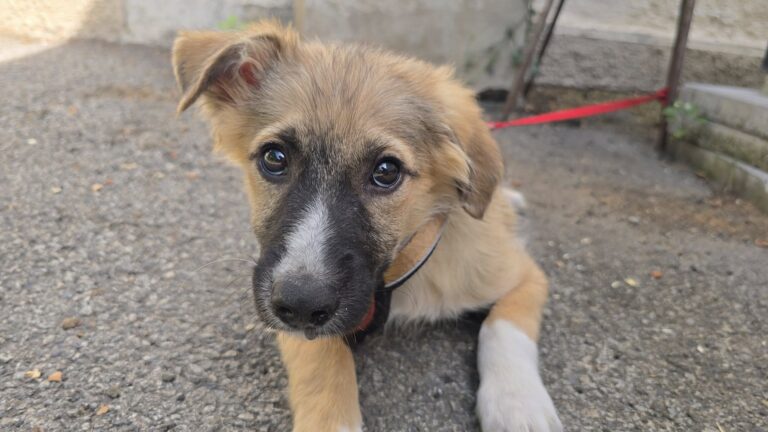 543395165_3243404672488486_8209493475471900030_n