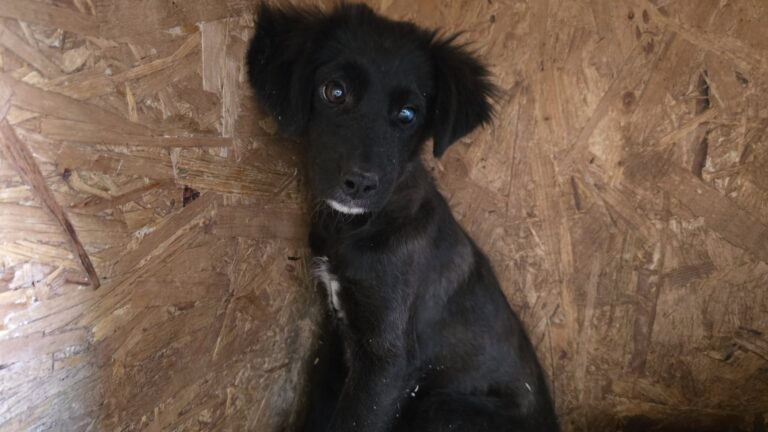 543404305_3243330822495871_4958078312220787753_n