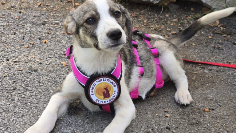 544501102_3243400085822278_9108312700213067012_n