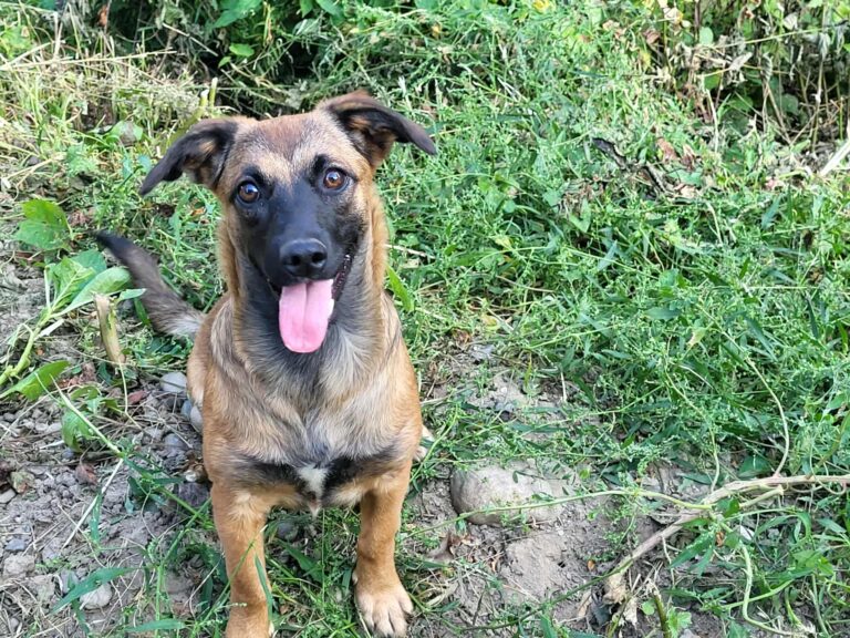 544623011_9934755753293050_7283469306029935285_n