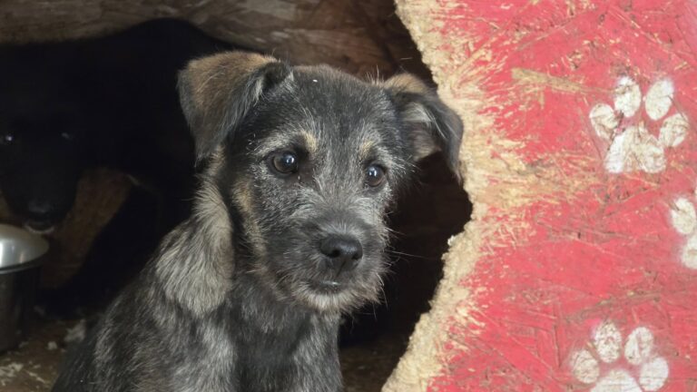 544803605_3244989682329985_5477672712210608366_n