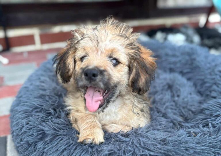 544980199_25282408618012796_2577634017418071019_n