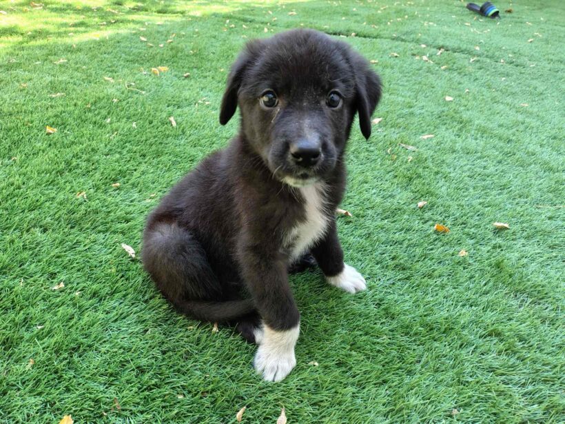 LOKI – reserviert LOKI – reserviert