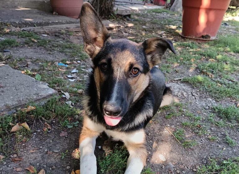 547412491_25354269487493375_6324088873299686104_n