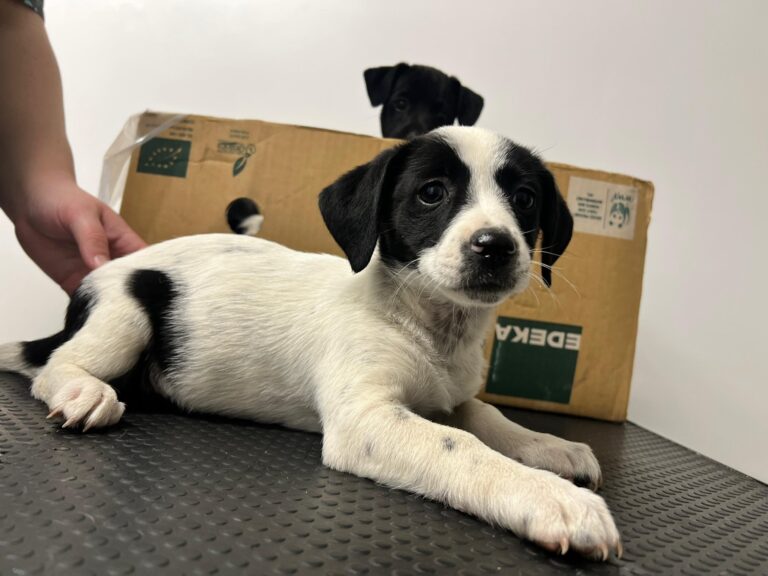 547477944_4058547357728402_6451817694558752537_n