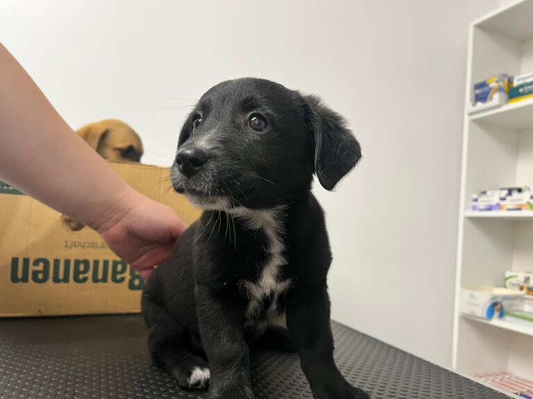 547524527_4058544974395307_6100395362473642013_n