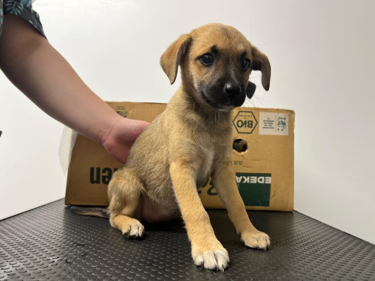 547997403_4058546334395171_996787249668356668_n