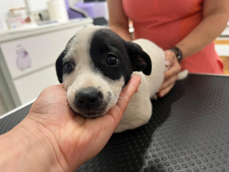 549643439_4058549391061532_7984465260427303923_n