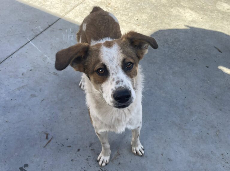 555420763_4121584394784128_6334498468842511176_n