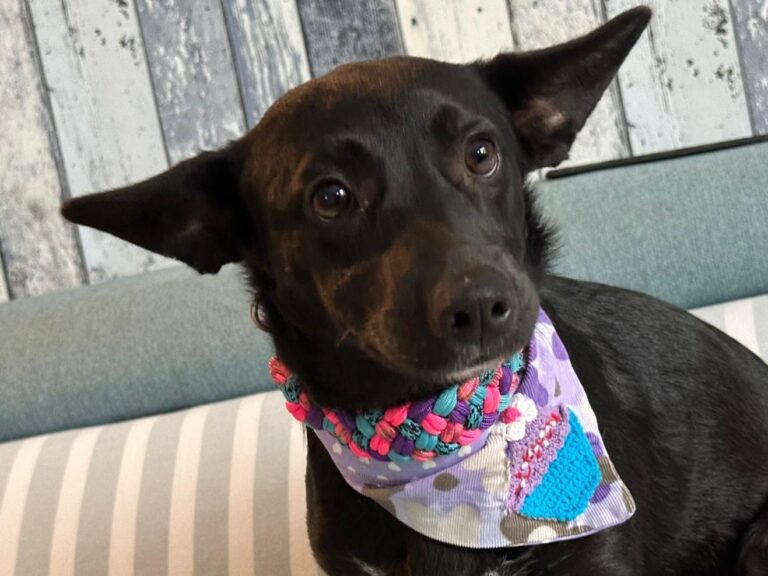 556144152_24542385402086945_2647324670235500795_n