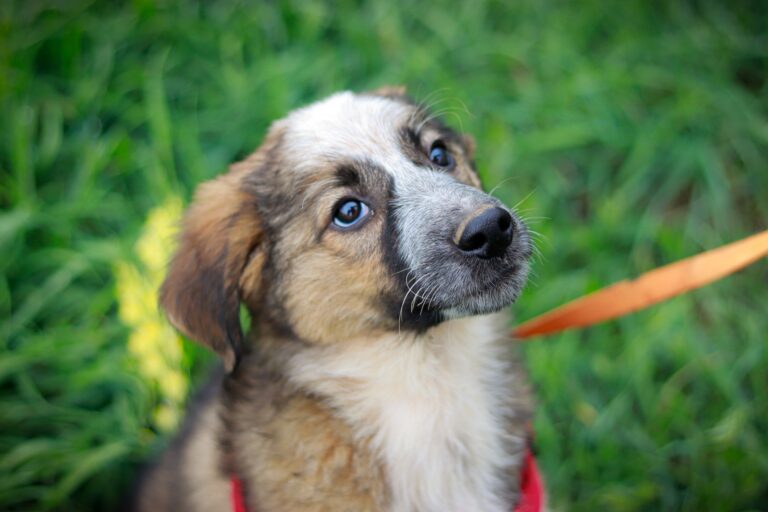 558827582_3129228810588567_3569941043599363611_n