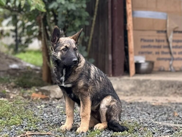 558965962_25603274532592868_2477484617886942120_n