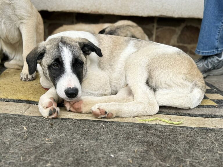 558986089_25602899769297011_5651619827429748665_n