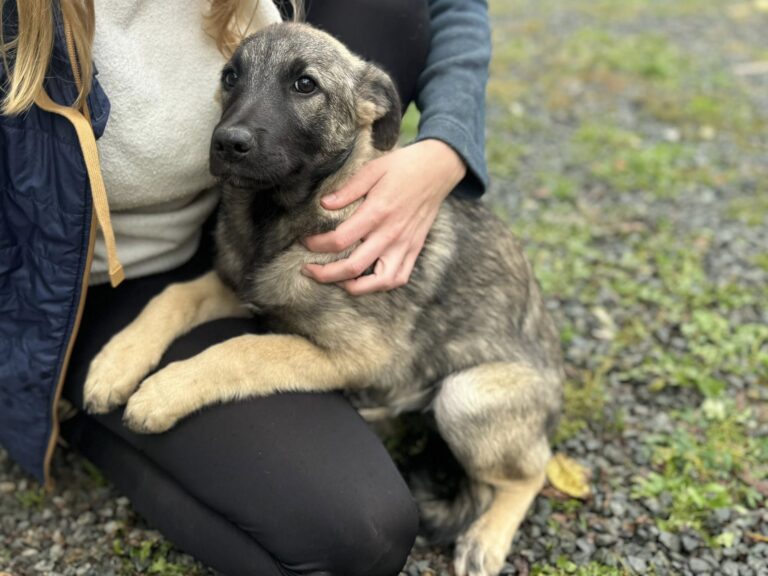 559895825_25603137752606546_8828291885301882259_n