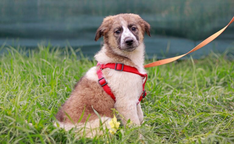 560531529_3130380650473383_5399076572535957950_n