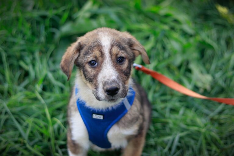 561100386_3132774946900620_3342219754704726431_n