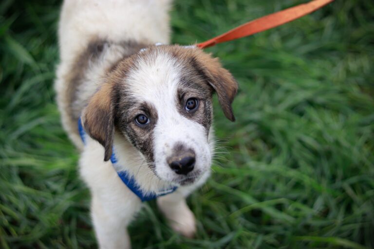 561223242_3132749256903189_7308072846091536032_n