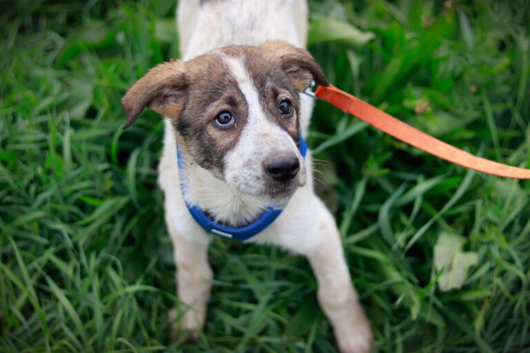 561617120_3132738466904268_5542115020970398824_n